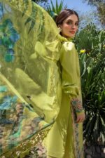 Rang Rasiya - 3pcs Chicken Kari Lawn Emb With Ready To Wear Tarkashi Dupatta - 184 - Image 5
