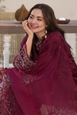 Qalamkar 3pcs Lawn Emb With Ready To Wear Cut Work Dupatta - 772 - Image 8