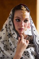 Hussain Rehar 3pcs Lawn Embroidered With Chiffon Printed Dupatta - Black - Image 4
