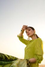Rang Rasiya - 3pcs Chicken Kari Lawn Emb With Tarkashi Printed Dupatta - 0543 - Image 4