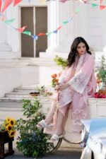Bin ilyas - 3pcs Chicken Kari Lawn Emb With Khaadi Net Fancy Dupatta - 765 - Image 4